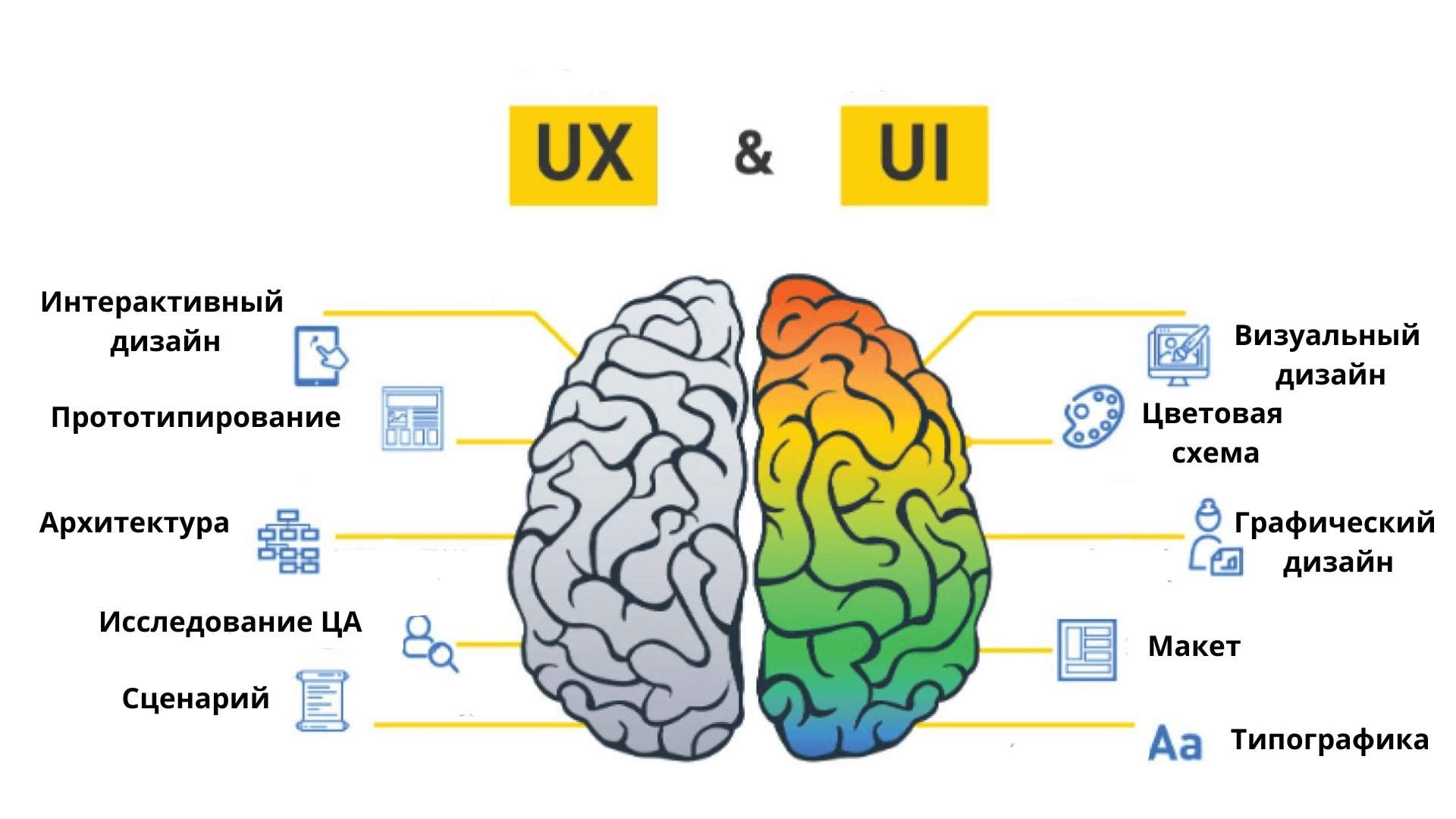 Инфографика, наглядно сравнивающая ключевые различия между UX и UI дизайном, с раздельными колонками для каждой области, выделяя их цели, фокусы и используемые инструменты