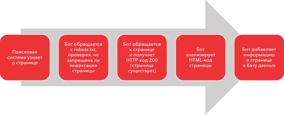 Діаграма, що показує процес індексації сайту пошуковим роботом, із зазначенням етапів сканування та додавання сторінок до індексу. Деякі сторінки позначені червоним хрестиком, що символізує